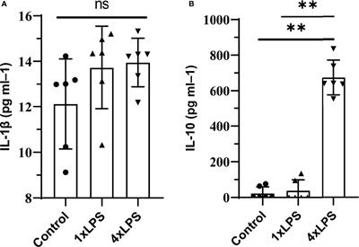 Intestinal Flora Composition Determines Microglia Activation and Improves Epileptic Episode Progress